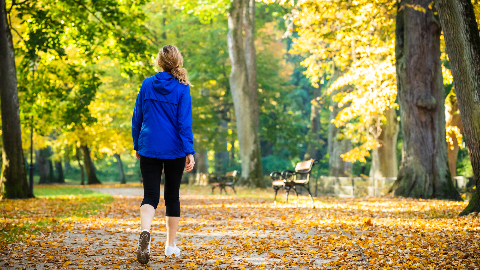 A person walking in a park during their lunch break, incorporating movement into an everyday routine